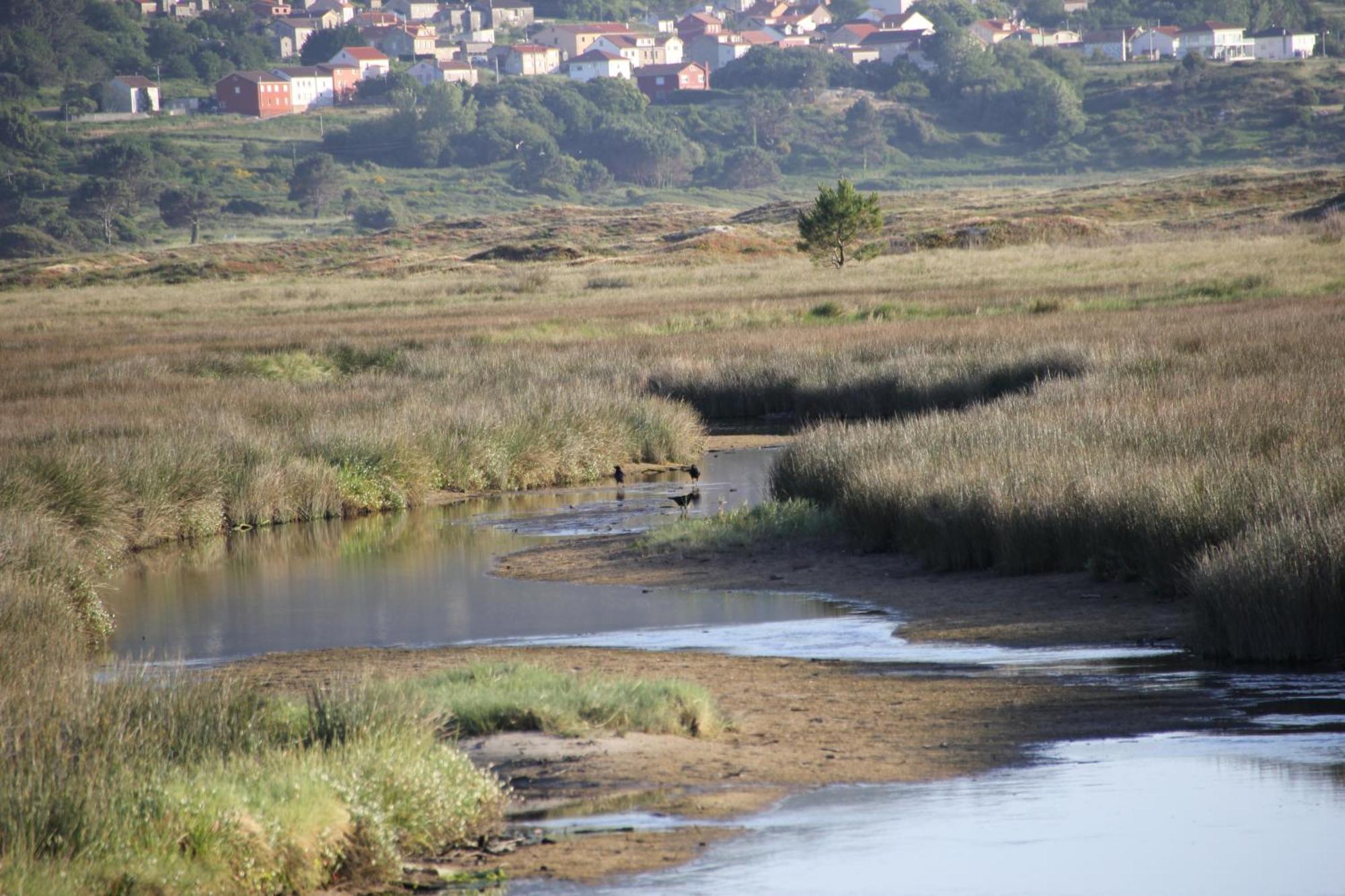 Mirador Playa Ribeira - Fisterra Lejlighed Eksteriør billede
